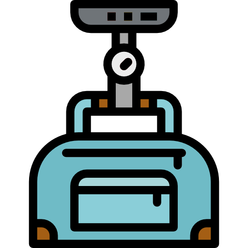 Scale icon