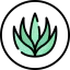 Aloe vera ícone 64x64