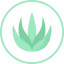 Aloe vera icon 64x64