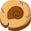 Fossil 图标 64x64