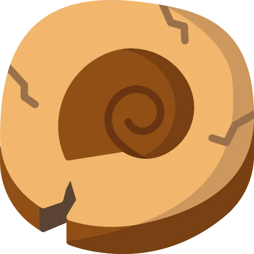 Fossil 图标