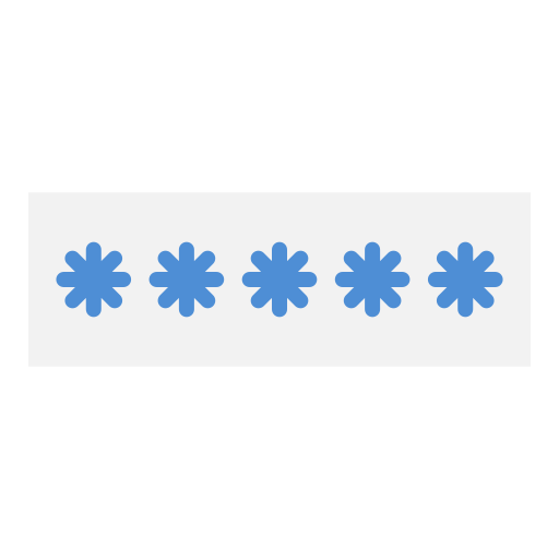 Password icon