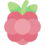 Berry icon 64x64