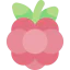 Berry 상 64x64