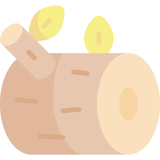 Log 상
