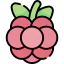 Berry 图标 64x64