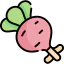 Radish 图标 64x64