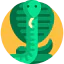 Cobra icon 64x64