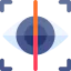 Iris recognition icon 64x64