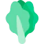 Lettuce icon 64x64