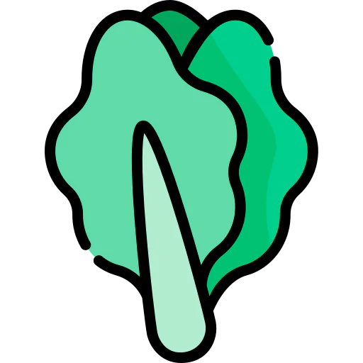Lettuce icon