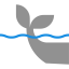 Whale icon 64x64
