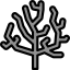 Coral icon 64x64