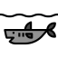 Shark icon 64x64