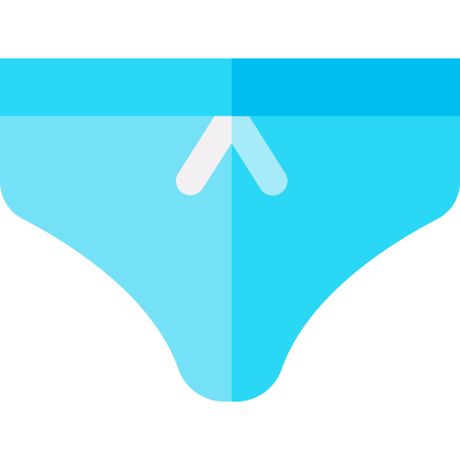 Knickers icon