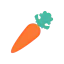 Carrot icon 64x64