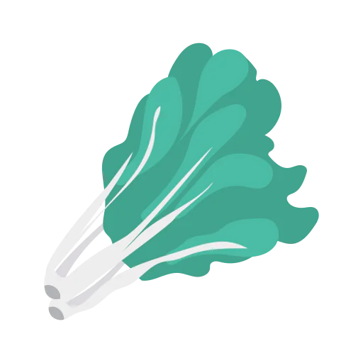 Broccoli icon