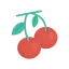 Cherries icon 64x64