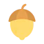 Hazelnut icon 64x64