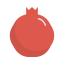 Pomegranate icon 64x64