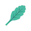 Oak leaf biểu tượng 64x64