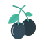 Blueberry icône 64x64