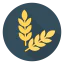 Wheat icon 64x64
