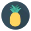 Ананас иконка 64x64