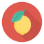 Lemon アイコン 64x64