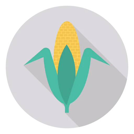 Corn icon