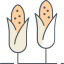 Corn icon 64x64