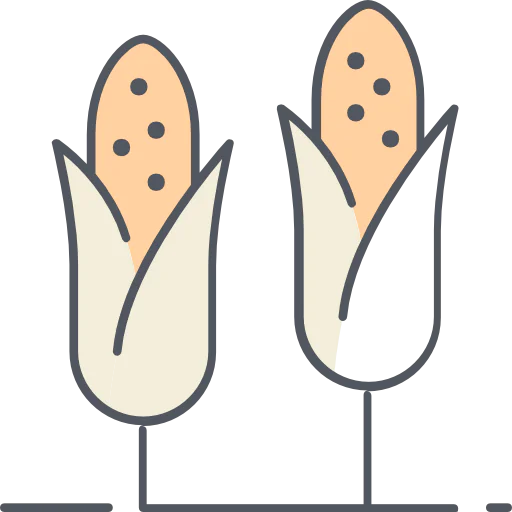 Corn icon