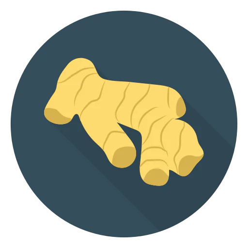 Ginger icon