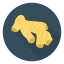 Ginger アイコン 64x64