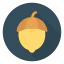 Hazelnut icon 64x64