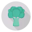 Broccoli 图标 64x64