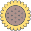 Sunflower icon 64x64