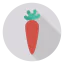 Carrot icon 64x64