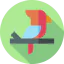 Parrot icon 64x64