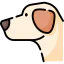 Labrador retriever icon 64x64