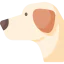 Labrador retriever icon 64x64