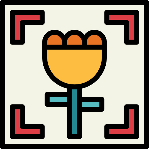 Macro icon