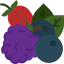 Berries icon 64x64