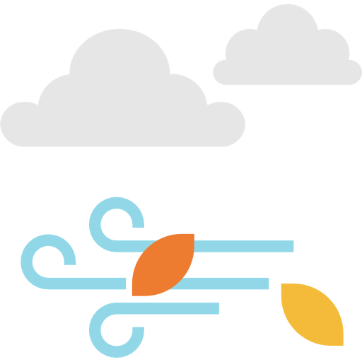 Windy icon