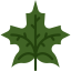 Maple leaf ícono 64x64