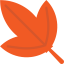 Leaf icon 64x64