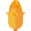 Corn icon 64x64