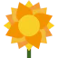 Flower icon 64x64