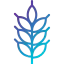 Wheat icon 64x64