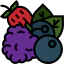 Berries icon 64x64